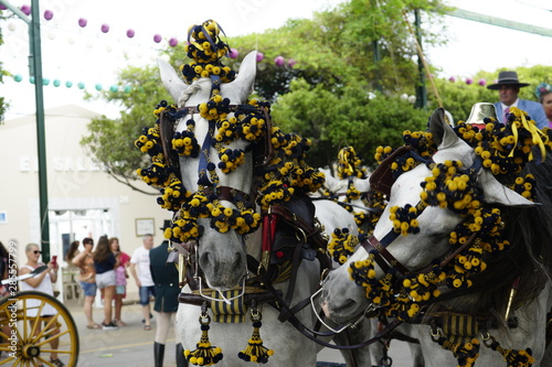 Photos horse carriage concurso de enganches de carruajes de coches de caballos feria de
