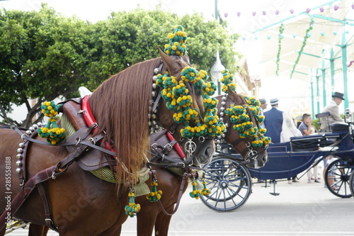 Tableau sur toile horse carriage concurso de enganches de carruajes de coches de caballos feria de