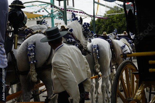 Photos horse carriage concurso de enganches de carruajes de coches de caballos feria de
