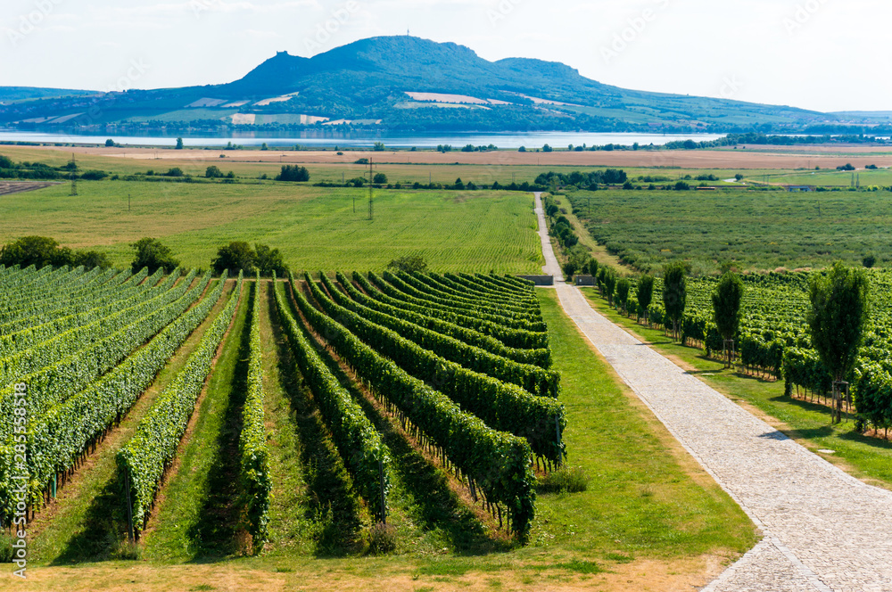 Palava hills view over wine yards. South Moravia, Czech republic