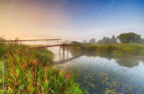Beautiful foggy morning on the river banks © Piotr Krzeslak
