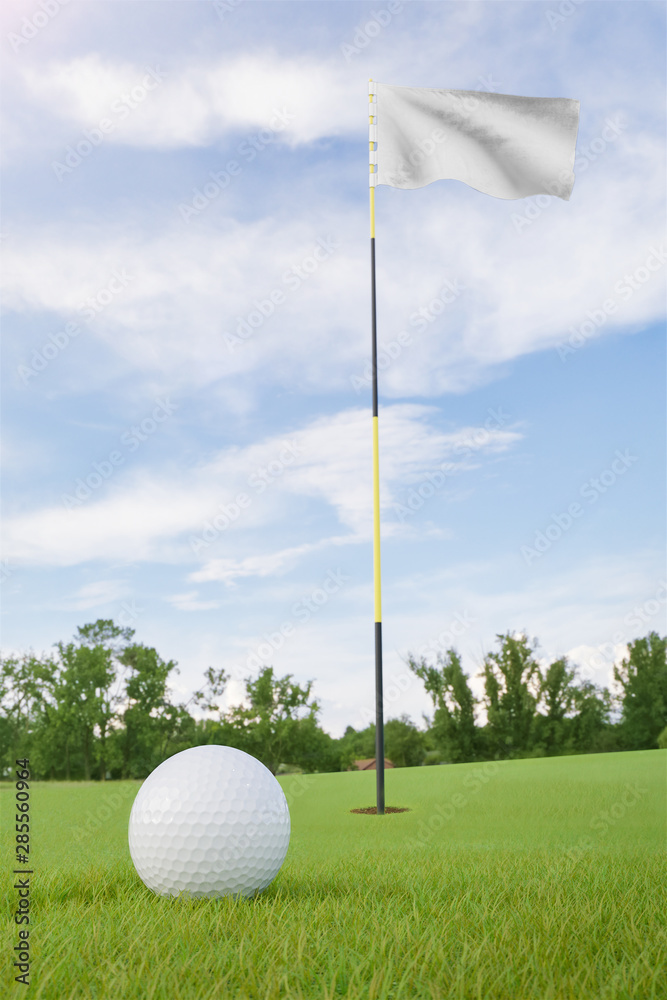 Obraz premium White flag on golf course putting green with a ball near the hole