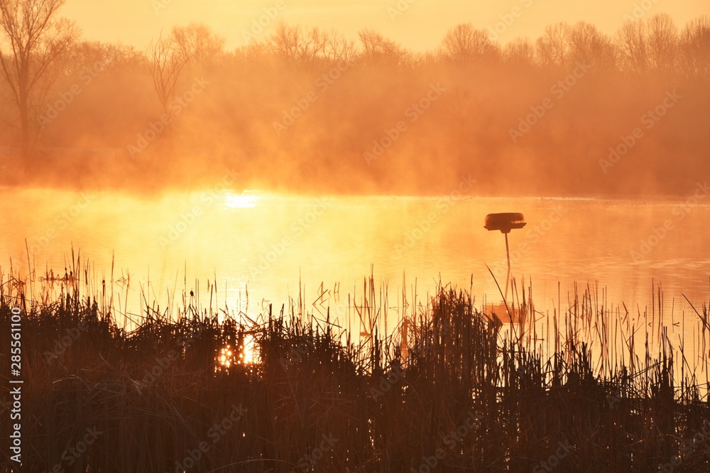 Sunrise over Pond