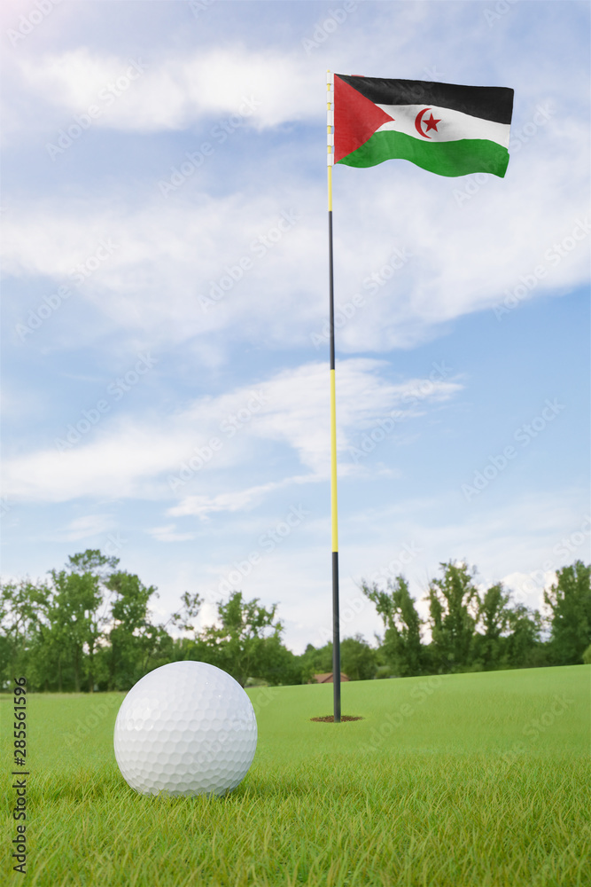 Obraz premium Western Sahara flag on golf course putting green with a ball near the hole