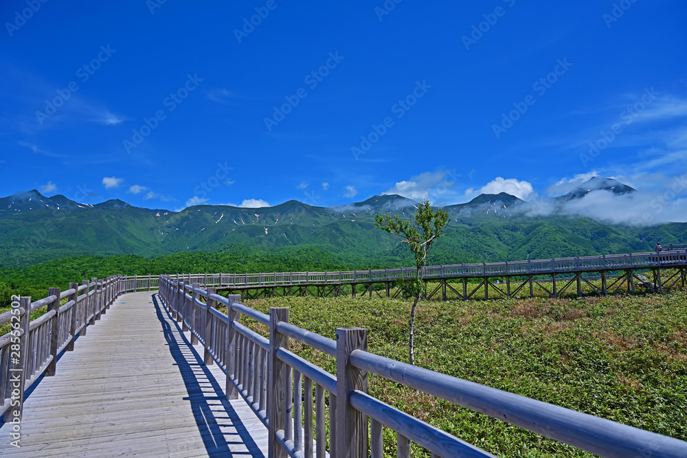 木製遊歩道から見た知床五湖の情景＠知床、北海道