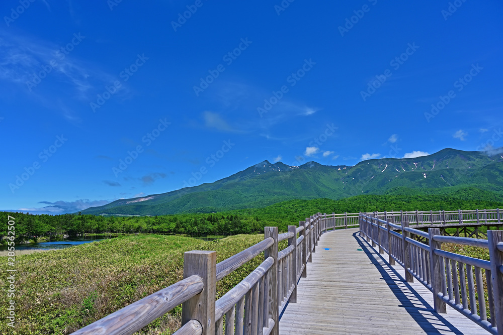 木製遊歩道から見た知床五湖の情景＠知床、北海道