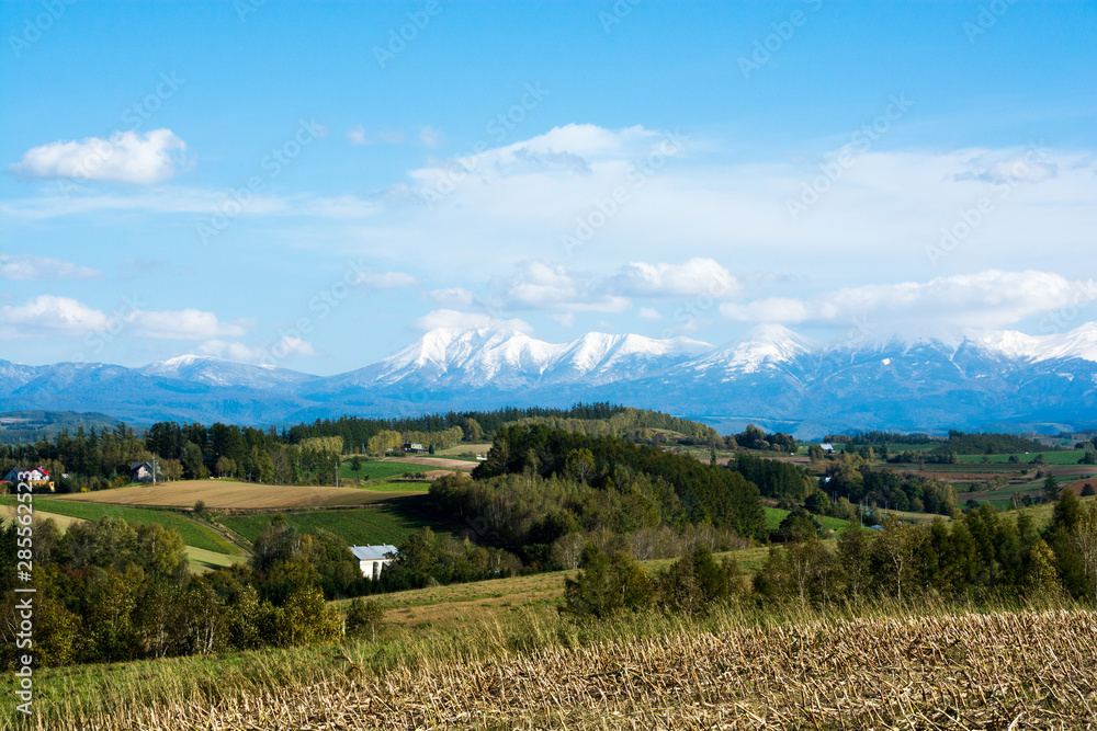 秋の丘陵地帯と冠雪の山並み　十勝岳連峰