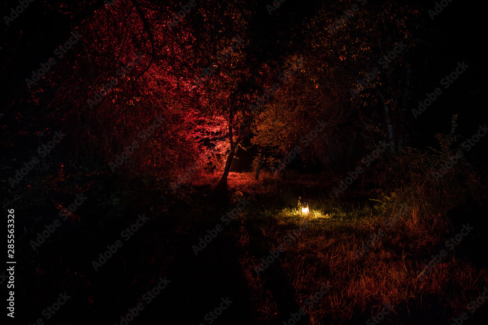 Horror Halloween concept. Burning old oil lamp in forest at night. Night scenery of a nightmare scene. Horror Halloween concept. Burning old oil lamp in forest at night. Night scenery of a nightmare scene.