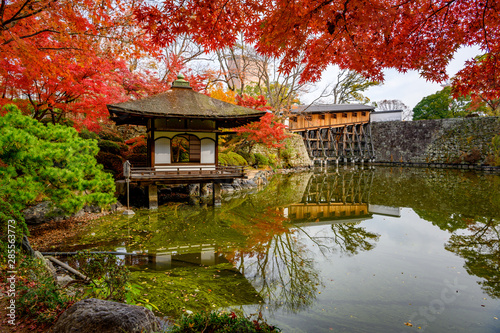Wakayama castle in the autumn park, Momijidani Teien Garden in Wakayama castle, japan photo