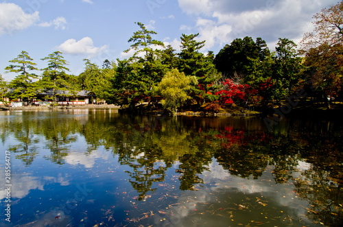 Autumn leaves are reflected in the pond .