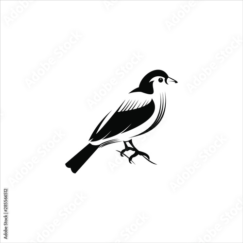 artistic finch bird in flat black color illustration art logo design © lexlinx