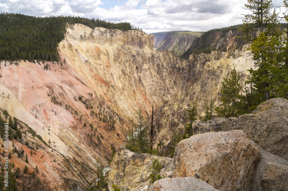 Grand Canyon of the Yellowstone National Park with trees