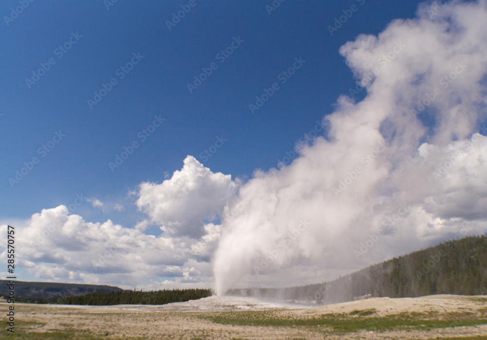 The world famous Old Faithful Geyser erupts in Yellowstone National Park on a beautiful, sunny summer day with a sky full of gorgeous clouds