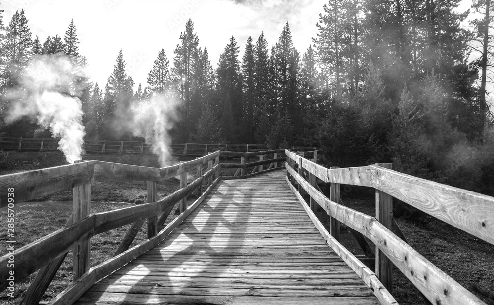 Wooden bridge over geyser in the Yellowstone national park Wooden bridge over geyser in the Yellowstone national park