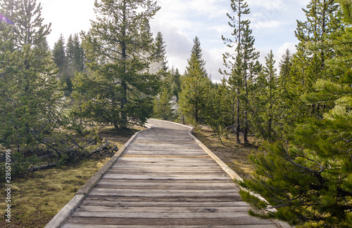 Wooden bridge over geyser in the Yellowstone national park