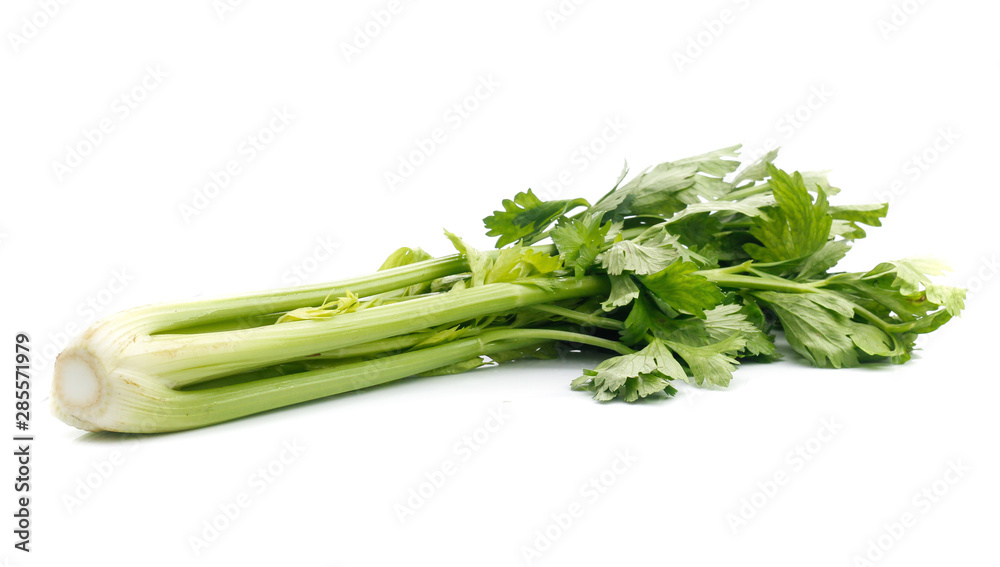 fresh celery isolated on white background fresh celery isolated on white background
