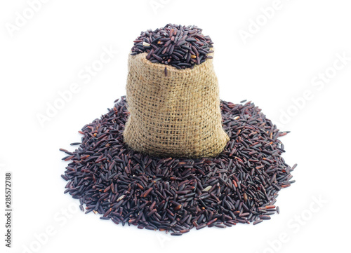 Black rice isolated photo