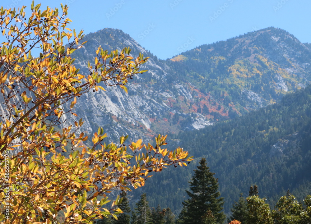 Bells Canyon in September, early fall colors show up in the Wasatch Mountains