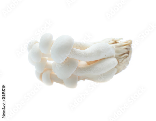 white beech mushroom or Shimeji mushroom on white background