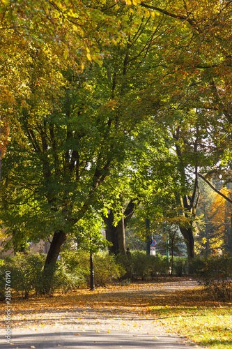 Footpath or trail for relaxation in autumnal park