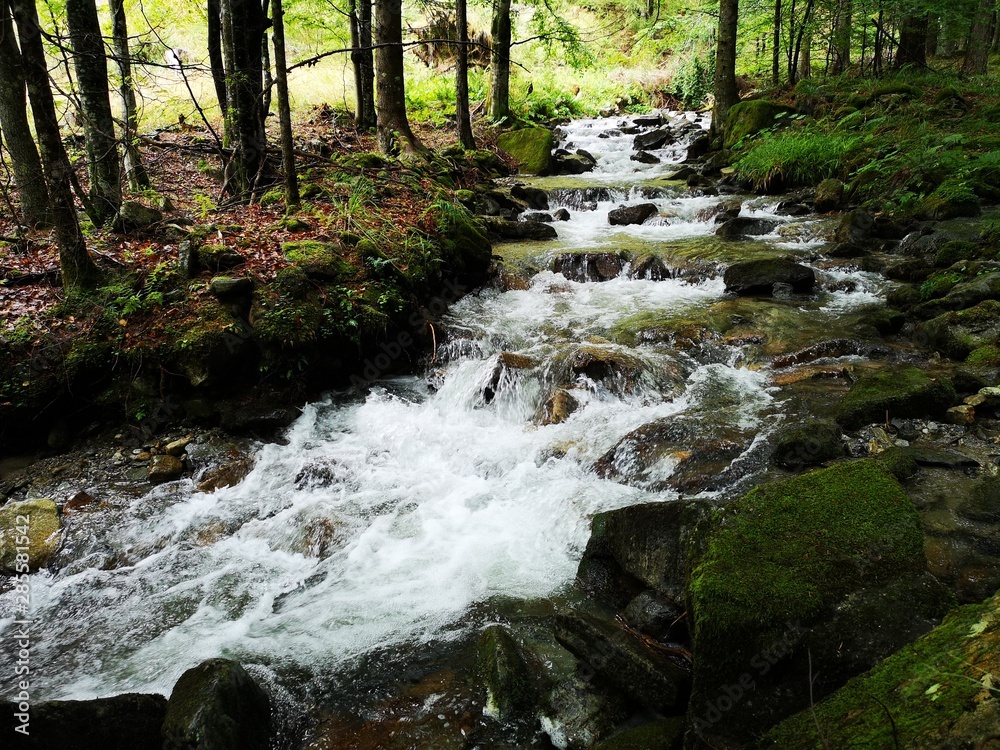 Obraz premium Wildbach in den Alpen - Übelbach