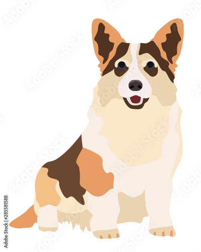 Dog welsh korgi. cartoon style vector illustration isolated on white background.