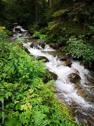 Wildbach in den Alpen -   belbach