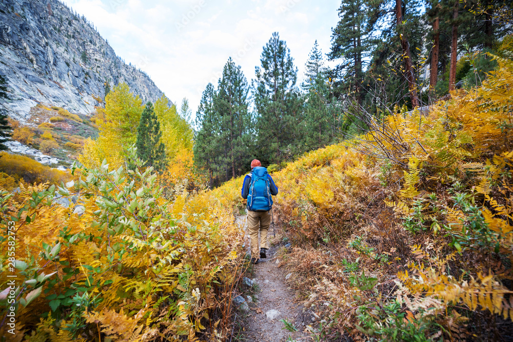 Fototapeta premium Hike in autumn season