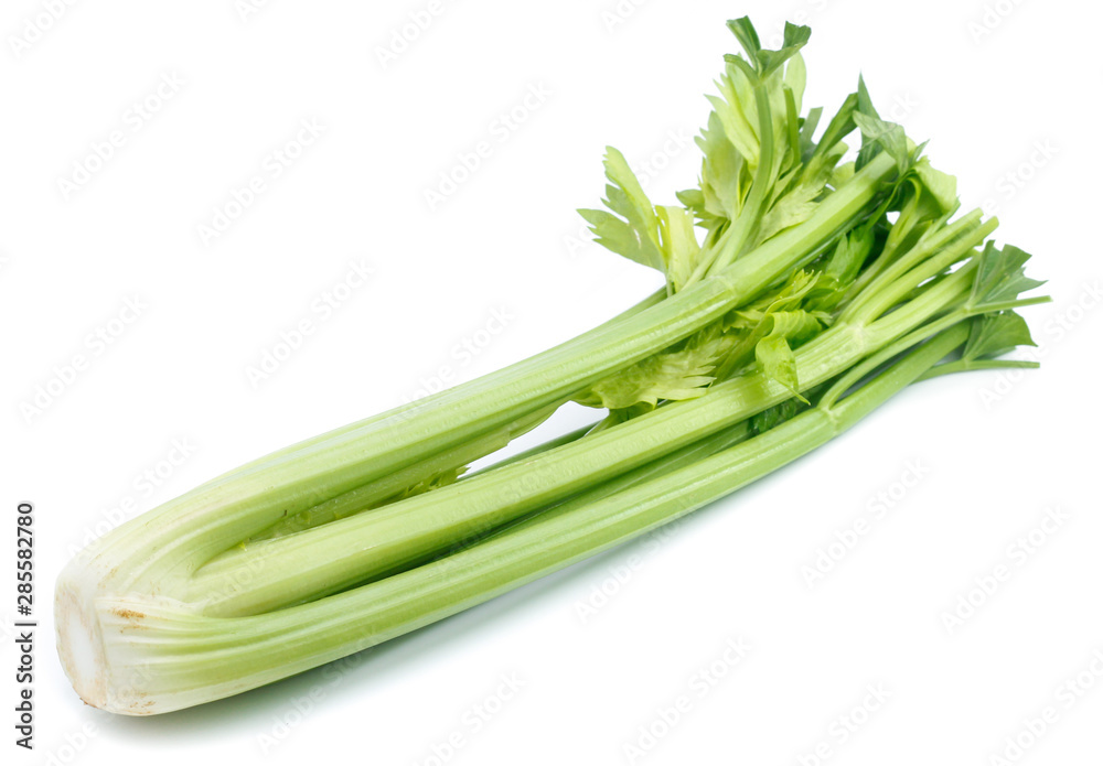 fresh celery isolated on white background fresh celery isolated on white background