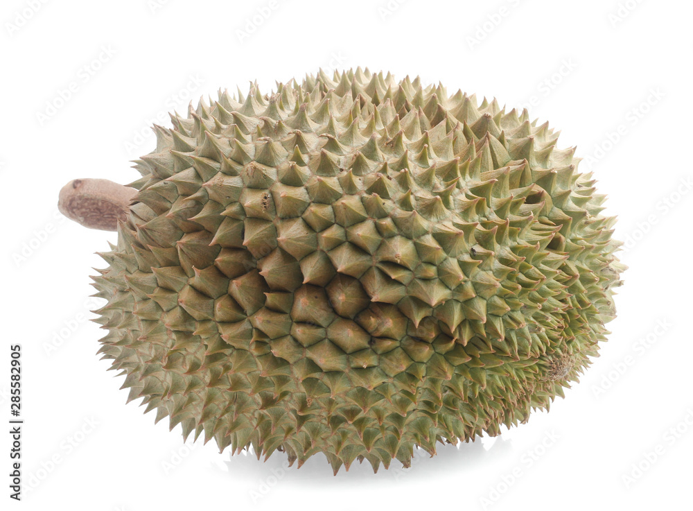yellow durian in side Mon Thong durian fruit on white background yellow durian in side Mon Thong durian fruit on white background