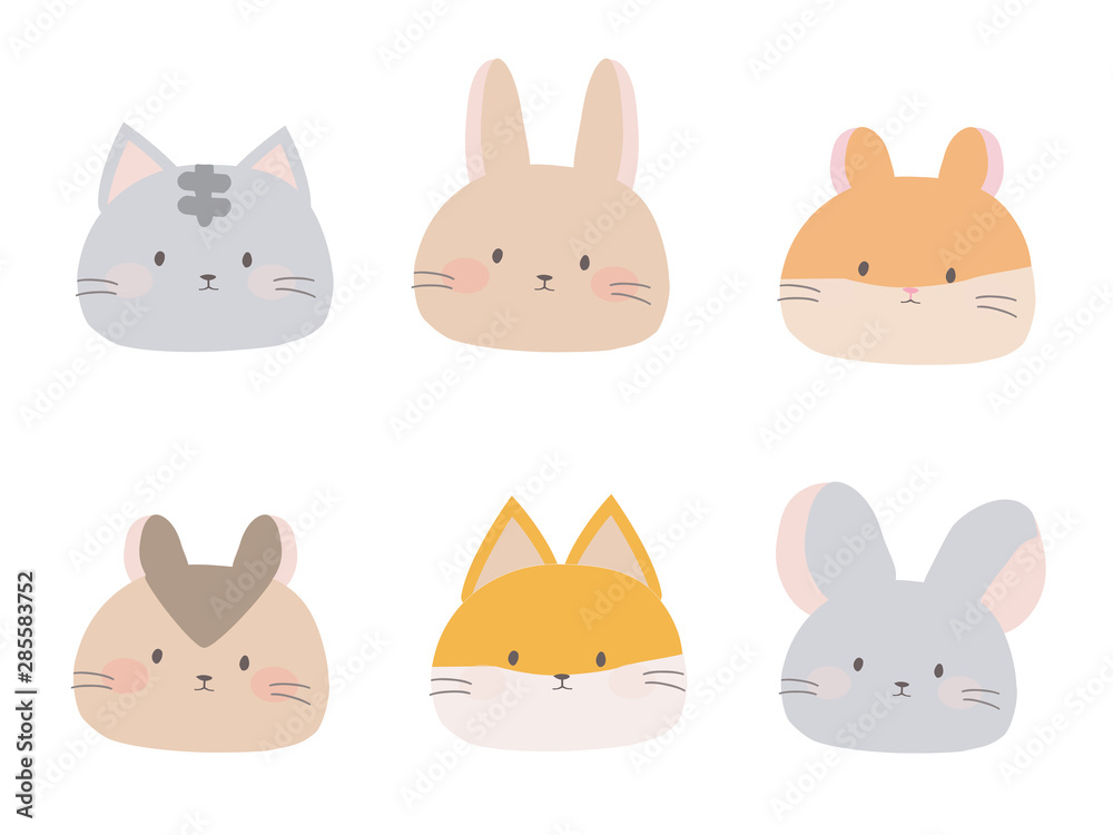 Fototapeta premium かわいい小動物