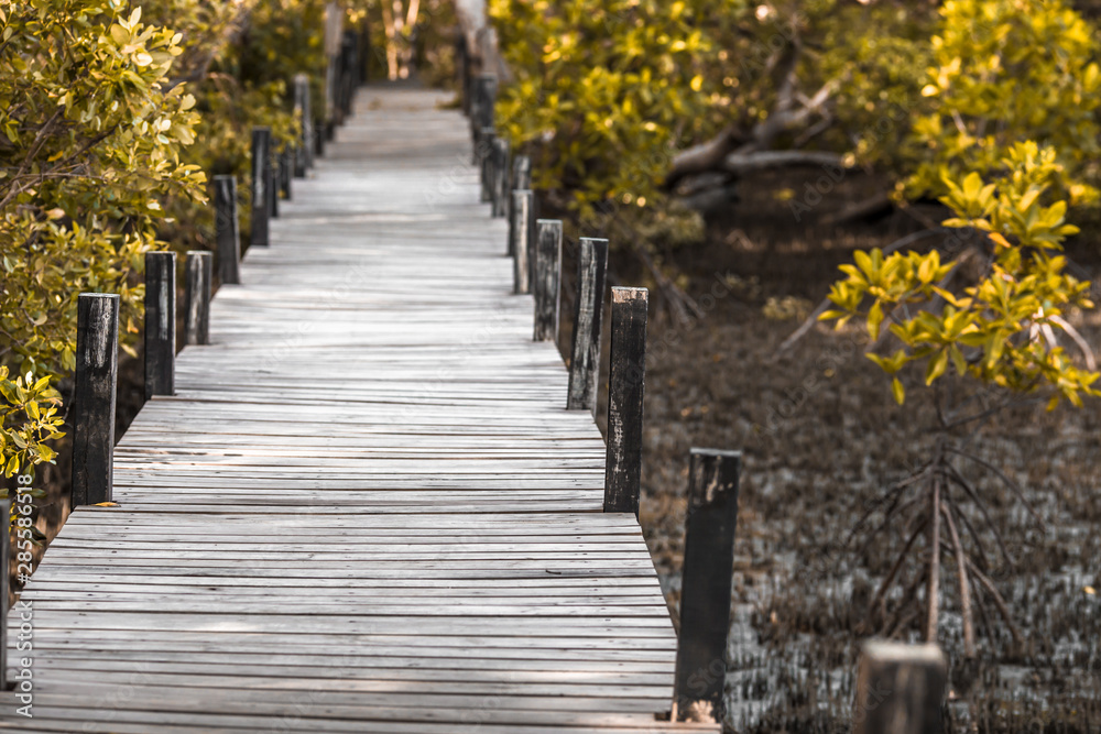 Blurred background of wooden bridges that allow tourists to walk through scenic views (mangroves, small forests) to study nature or relax on the way.