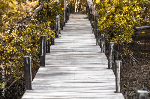 Fototapeta Naklejka Na Ścianę i Meble -  Blurred background of wooden bridges that allow tourists to walk through scenic views (mangroves, small forests) to study nature or relax on the way.