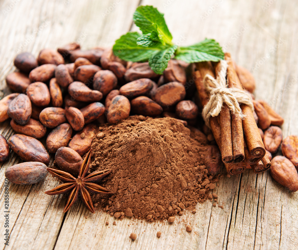 Cocoa powder and beans Cocoa powder and beans