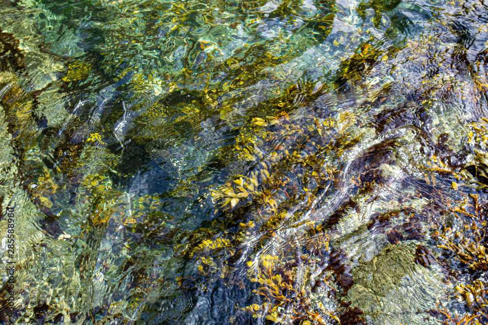 Fototapeta premium Water Ripple