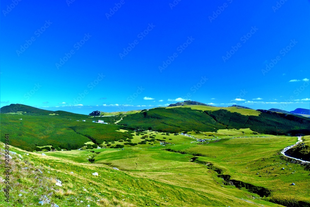 on the plateau of the Bucegi mountains in summer