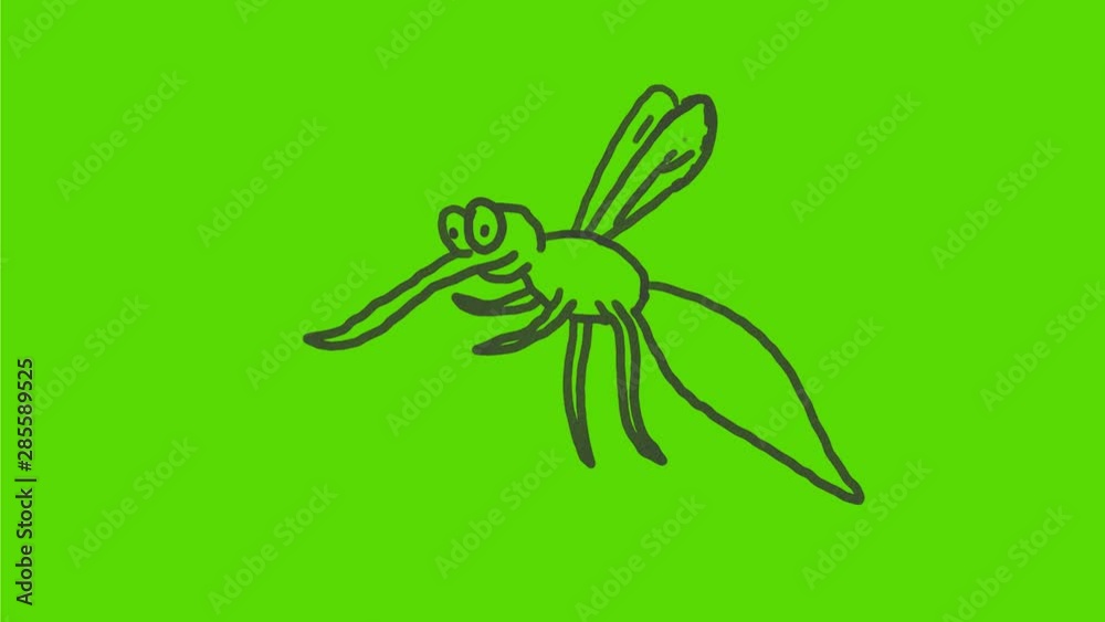 2d Animation motion graphics drawing of a mosquito flying on white and green screen with alpha matte in HD high definition. 2d Animation motion graphics drawing of a mosquito flying on white and green screen with alpha matte in HD high definition.