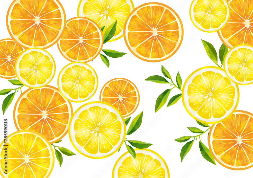 果物　レモン　オレンジ　断面図　輪切り　カットフルーツ　水彩　絵の具　手書き