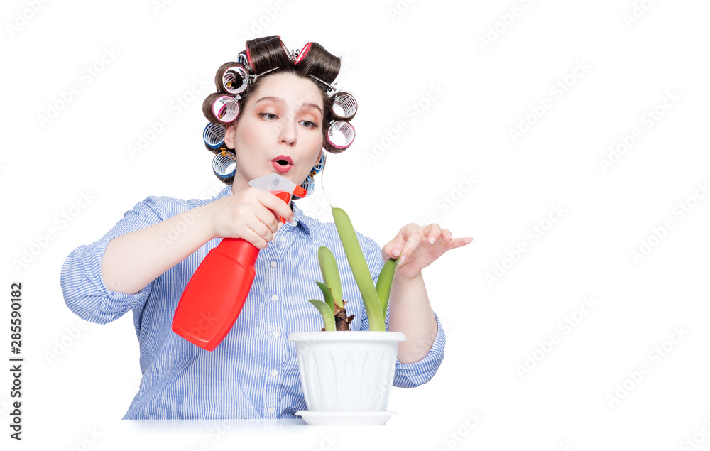 Young girl housewife with curlers cares for a flower in a pot, isolated on white background. Young girl housewife with curlers cares for a flower in a pot, isolated on white background.