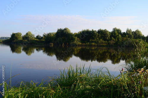 Summer landscape with lake in the field and blue sky and green grass at the morning