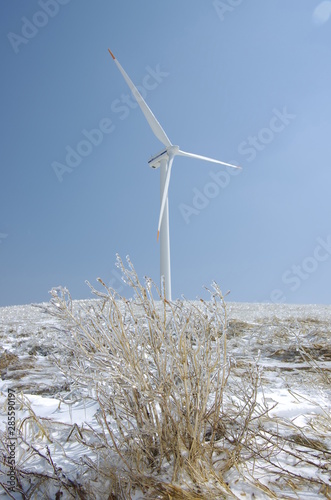 Wallpaper Mural 풍력. 발전. 대관령. 바람.  Torontodigital.ca