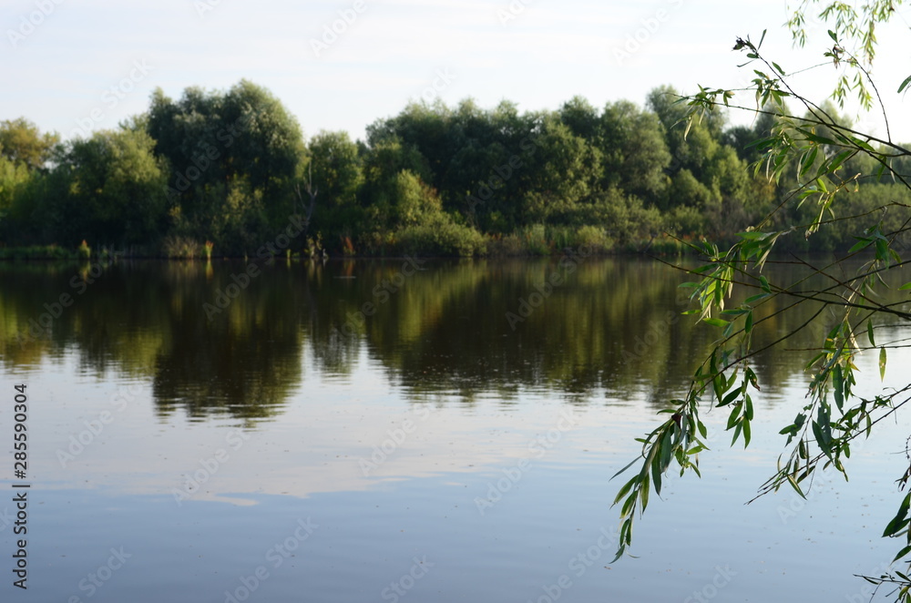 Summer landscape with lake in the field and blue sky and green grass at the morning