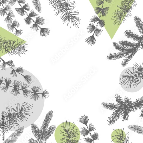 Vector background with hand drawn Christmas plants. Sketch illustration.
