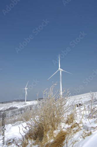 Wallpaper Mural 풍력. 발전. 대관령. 바람.  Torontodigital.ca