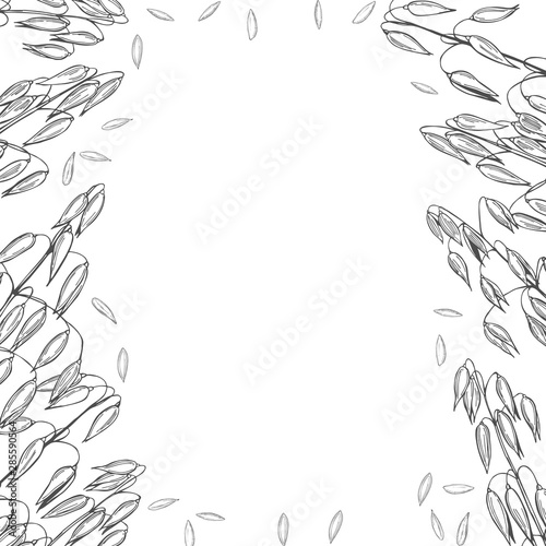 Vector background with oats plant. Hand drawn sketch illustration