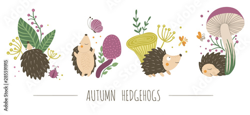 Vector set of scenes with hand drawn flat hedgehogs. Funny autumn pictures with prickly animal. Cute woodland animalistic illustration for children’s design, print, stationery.