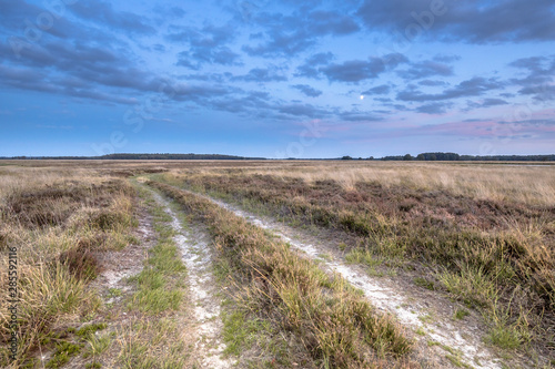 Natural heathland landscape near Hijken