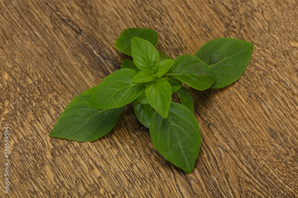 Fresh green Basil leaves - for cooking Fresh green Basil leaves - for cooking