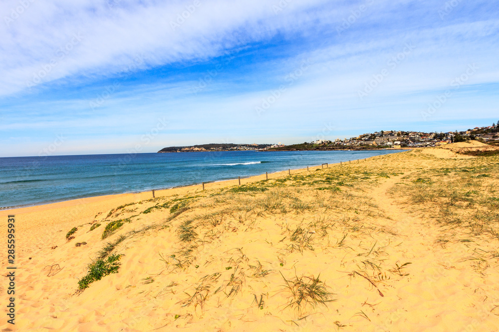 Sand dunes, Curl Curl beach