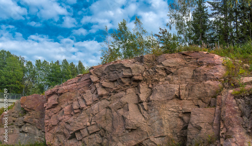 trees growing on stones photo